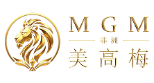 非洲之星